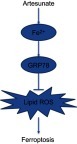 Figure 6 Flow diagram representation of GRP78 positively regulates artesunate-induced ferroptosis.