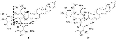 Figure 7. Structures of solasonine (A). and solamargine (B). with supposed fragmentation patterns.