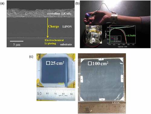 Figure 7. (a) Cross-sectional SEM image of CC/LiPON/LCO stack and (b) Optical image of flexible thin-film-type Ox-SSBs. (Reprinted from [49] with permission from Elsevier) (c) Optical image of electrode–solid electrolyte single stack with wide-area electrode coatings. The substrates are (left) LLZ and (right) LATP (Reprinted from [34] with permission from Elsevier).