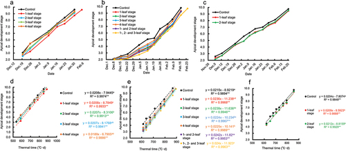 Figure 3. (a – c) effects of rolling on apical development and (d – f) relationship between accumulated daily mean temperature and apical development stage.