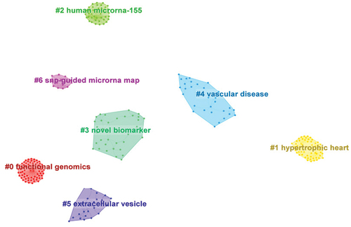 Figure 7. Cluster of co-citation document network.