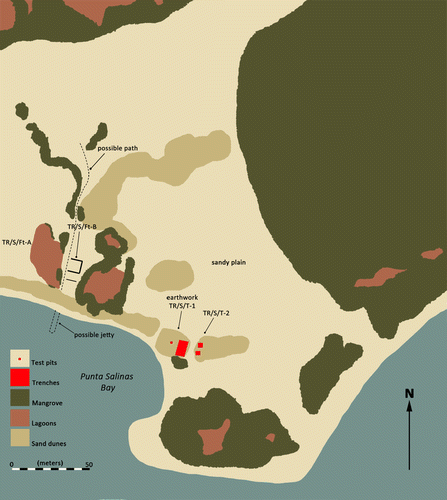 FIG. 5 Map of the site of Punta Salinas.