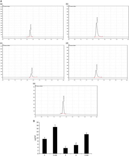 Figure 3. (A) HPLC chromatogram of ascorbic acid in serum. (a) Control, (b) C+AA, (c) ethanol, (d) abstention, and (e) E+AA. The retention time was 2.2 minutes. (B) Graphical representation of ascorbic acid content in serum. Values are expressed as mean ± SEM of six guinea pigs in each group. Values not sharing a common superscript letter differ significantly at P < 0.05.