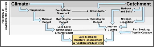 Figure 9. A generalized conceptual flow chart of the hierarchy of environmental controls on the aquatic ecosystems, modified from Fritz and Anderson (Citation2013) to represent variables considered in this study. The hierarchy is represented by the gradation of background color. The thick arrows represent interactions among environmental drivers. Thin arrows represent interconnections between the 2 main categories of environmental controls, climate, and catchment. The fish stocking/trophic cascade entry is characterized by a dotted line to denote its hypothesized rank inthe hierarchy in this study. Note that this flow chart only depicts environmental variables considered in this study and is not comprehensive.