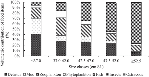 Figure 3. The size class variation in the diet of C. gariepinus in Ribb Reservoir, Ethiopia.