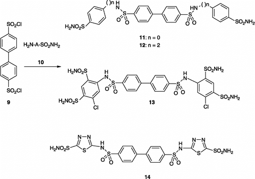 Scheme 1.  Preparation of biphenylsufonamides11–14.