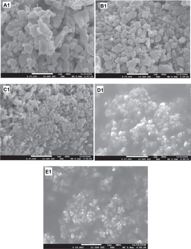 Figure 3 Scanning electron microscope images of ZnO samples before and after milling: (A1) as purchased. (B1, C1, D1, and E1) for the samples ball milled for 2, 10, 20, and 50 hours respectively.