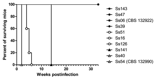 Figure 2. Survival of mice infected with Sporothrix spp. p < 0.05 for Ss54 (CBS 132990) and Ss40 vs. other isolates; p < 0.05 for Ss16, Ss51, Ss126 and Ss141 vs. other isolates and p < 0.05 for Ss143, Ss47, Ss39 and Ss06 (CBS 132922) vs. other isolates.