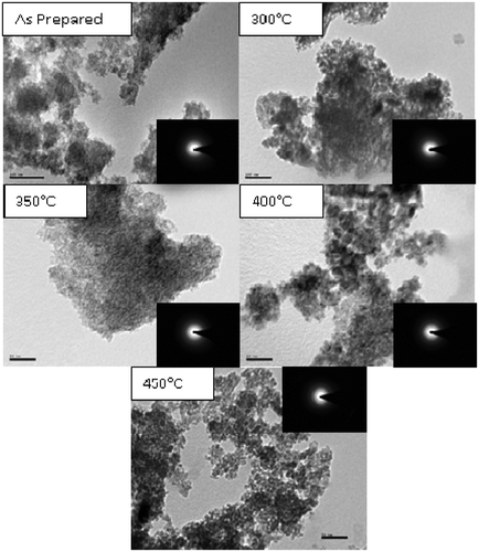 Figure 5. TEM images of TiO2 nanoparticles annealed at different temperatures.