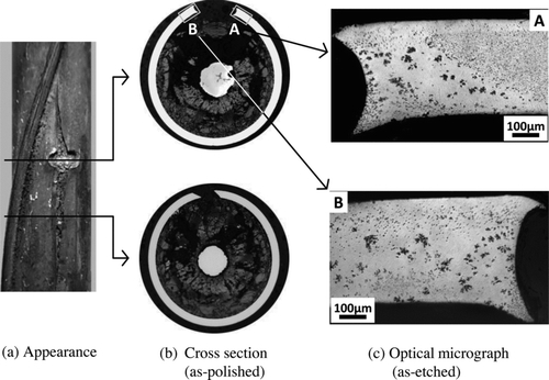 Figure 10 Photographs of the failure position of 9Cr-ODS cladding fuel pin (X42) irradiated in VS423E (distance from core center = 175–205 mm)