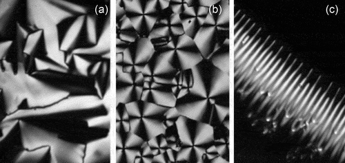 Figure 22. The fan-like texture of the TGBC phase (a), the mosaic defect texture of the columnar aspect of the TGBC phase (b), the unusual growth of filaments on the edges of a droplet of a TGBC phase (c), for compound 14 (x100).