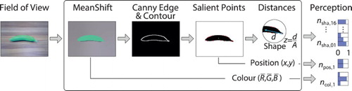 Figure 7. Schematic process of visual perception and encoding. The input is a single frame taken by the NAO camera, while the output is the neural activity over N neurons, with N being the sum over shape+colour+positionfeatures.