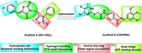 Figure 2. Scaffold hopping of target compounds NO-TZDs and CDHPMs.
