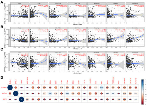 Figure 6 Correlation of CXCL5 (A), CXCL11 (B), and GRPR (C) expressions with immune infiltration level in GBM. (D) Corrplot map of three DEGs and immune checkpoint markers in TCGA-GBM database.