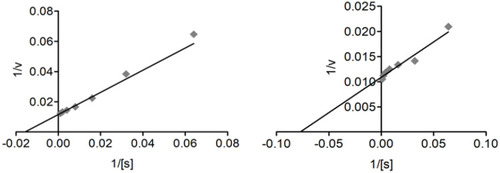 Figure 7 Lineweaver–Burk plots of butyrylcholinesterase inhibition representing the reciprocal of initial enzyme velocity versus the reciprocal of substrate concentration in the presence of Compound 1 and the standard galantamine.