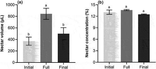 Figure 1. Mean (±SE) nectar volume (a) and nectar concentration (b) from S. davidii at different flowering periods. Based on three repetitions and each repetition consists of 30 inflorescences per flowering period. Different letters indicate a significant difference in different flowering periods (p < .05).