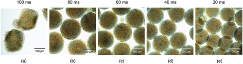 Figure 3. Optical microscopy images of PO/SA microcapsules prepared by different pulse durations of (a)100, (b) 80, (c) 60, (d) 40, and (e) 20 ms.