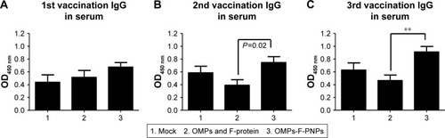 Figure 4 Postvaccinate OMPs-specific antibody response in chickens vaccinated orally with OMPs-F-PNPs.Notes: Layer chickens were inoculated orally three times at 3-week intervals with PBS (Group 1), or soluble OMPs and F-protein (Group 2), or OMPs-F-PNPs (Group 3). (A–C) OMPs-specific IgG antibody response in serum was analyzed by ELISA. Each bar is the mean ± SEM of 8–10 chickens, and the data were analyzed by nonparametric Kruskal–Wallis test followed by P-value differences in between the groups determined by Mann–Whitney test. Asterisk refers to statistical difference between the two indicated groups (**P<0.01). OMPs-F-PNPs, OMPs and F-protein-entrapped and surface F-protein-coated PNPs.Abbreviations: F, flagellar; OMPs, outer membrane proteins; PNPs, polyanhydride nanoparticles; SEM, standard error of the mean.
