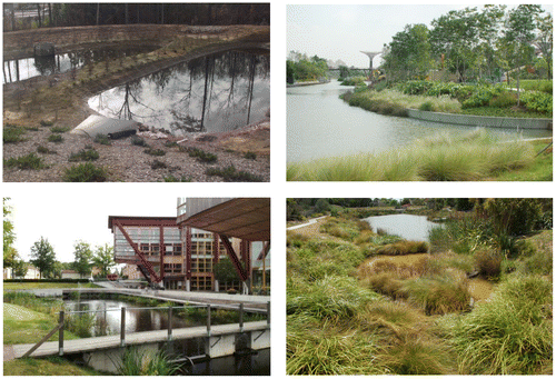 Figure 1. Example wet ponds in North Carolina, USA (with forebay in foreground), Singapore, New Zealand, and Sweden (clockwise from top left).