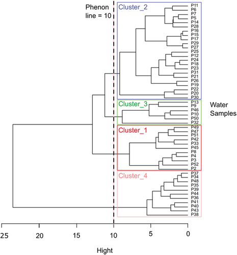 Figure 3. Hierarchical cluster analysis of water samples from the Chott Djerid shallow aquifer.