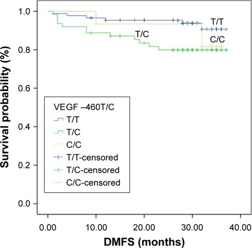 Figure 3 Influence of VEGF –460T/C genotypes on DMFS.