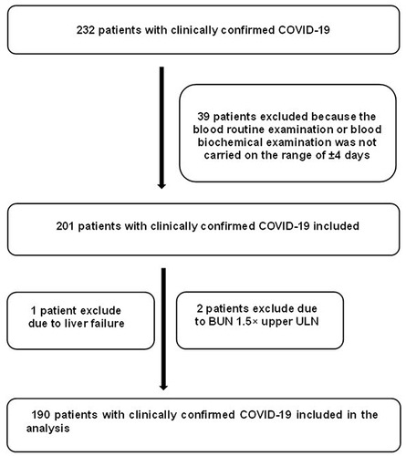 Figure 1 Study flow chart.