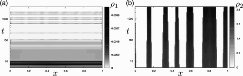 Figure 2. Long-time behaviour of the patterns generated from the Turing instability for the go-or-rest model. Spatio-temporal evolution of (a) motile and (b) static populations. The horizontal axis is used for space and the vertical one for time, with a logarithmic time scale that covers several orders of magnitude. Both curves correspond to the long-time evolution of the simulations presented in Figures 1(b) and (c). (a) The dashed lines represent the contour levels ρ1=4×10−5 and indicate brief increases in the number of motile cells released at the edges of the static aggregates. The quasi-horizontal contour levels suggest an almost spatially uniform distribution (i.e. ρ1(x, t)≃ρ1(t)). (b) The solid lines represent the contour levels ρ2=1 as in Figure 1(c) and show the slow shrinkage of the static aggregates.