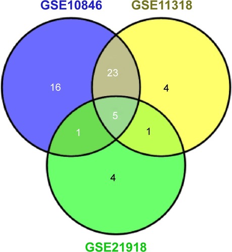 Figure 3 Venn diagram of the prognostic genes from three gene expression data sets (GSE10846, GSE11318, and GSE21918).