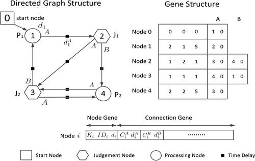 Figure 1. Basic GNP structure.Source: drawn by authors with the help of R software.