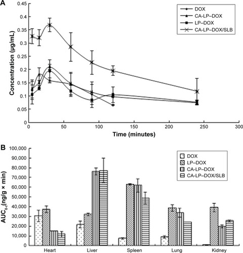 Figure 6 (A) Pharmacokinetic profiles in mice. (B) In vivo distribution in mice (n=5).Abbreviations: AUC, area under the curve; CA-LP, DSPE-PEG-cholic acid-modified liposomes; DOX, doxorubicin; SLB, silybin.