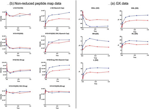 Figure 5. Quench time-course data. Red and blue represent two different quench conditions. (A) GX data. H, heavy chain; L, light chain; HL, combination of heavy chain-light chain; HH, combination of heavy chain-heavy chain; HHL, combination of heavy chain-heavy chain-light chain; HHLL, heavy chain-heavy chain-light chain-light chain. (B) Nonreduced peptide map data. H15 is the hinge peptide containing three cysteines: two that form interchain disulfide bonds between the two heavy chains, and another engineered cysteine designed for conjugation. H14 and L16 are peptides containing cysteines that connect the heavy chain and light chain. H15-H15 (2SS, 2Drug) is the desired product from the conjugation reaction. L16-H14 (1SS), peptide containing a disulfide bond between the light chain and heavy chain; L16 (1 Quench Cap), L16 attached to a molecule of quenching reagent; H15-H15 (3SS), triple-disulfide bond peptide structure (unconjugated antibody); H15-H15 (2SS, 1SH, 1Quench Cap), triple-disulfide bond structure with a molecule of quenching reagent attached; H15 (1SS, 1Drug), half-ADC; H15 (1Drug, 1SH, 1Quench Cap), half-ADC with a molecule of quenching reagent attached; H15-H15 (2SS, 1SH, 1Drug), underconjugated ADC.