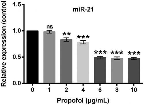 Figure 3. Effects of different concentrations of propofol on the expression of miR-21. Cells were treated by 0–10 μg/mL propofol for 48 h. The expression of miR-21 analyzed by qRT-PCR analysis. Data represented as mean ± SD. n = 3 per group. *p < .05; **p < .01 compared to control group.