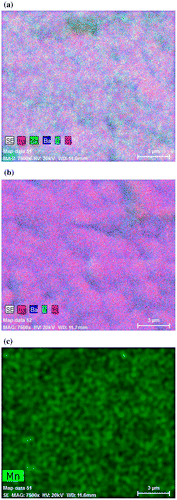 Figure 5. EDS elemental map comparison of the NBT-BT-Mn (a) and NBT-BT (b), EDS map of Mn in Mn-modified NBT-BT ceramic.