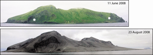 Figure 3 Pre- and post-eruption photographs of Kasatochi Island taken from a ship off the northwest coast in summer 2008. Direction of view is slightly different with the lower photograph more southerly. White stars in upper panel show locations of major sea-bird nesting sites. Tundering talus, left, is clearly visible; Troll talus, right, is not visible but lies below cliff marked by star. Note the extensive fans deposited beyond the pre-eruption sea cliff and the lowering of the west crater rim by outward erosion. The sea lion rookery on the lava-flow headland at the left edge of upper photograph is partly buried by deposits that were removed by erosion during the winter of 2008–2009. USFWS photographs by R. M. Buchheit.