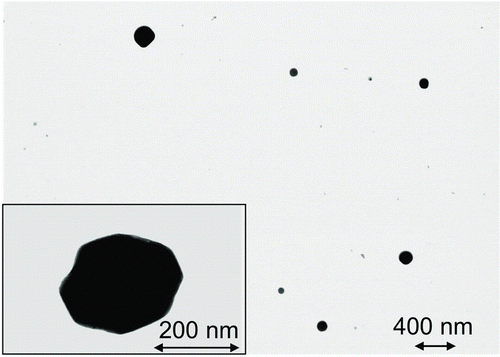 FIG. 3 STEM images of particles collected by the TPS in these tests. Note higher magnification for the image in the inset.