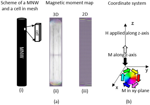 Figure 1. The generalized simulation scheme: (a) Geometry of an MNW and the resulting magnetic moment map, where (i) shows the basic shape information of an MNW and a cell, (ii) and (iii) gives an example of resulting magnetic moment map in 3D and 2D respectively; (b) The coordinate system including direction of applied field H and color-coded directions for the magnetic moment.