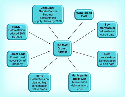 Figure 1.  Fragmentation of the forest dialogue in Mato Grosso (Brazil).The Mato Grosso farmer today in the Amazon biome is subjected to at least eight dialogues involving forests and deforestation, each with its own different approaches. One goal of the Jurisdictional Performance System would be to establish a single definition of progress in addressing the problem of deforestation and other key issues that several different initiatives could agree on, facilitating linkages and synergies across policies and processes. See Table 1 and the main text for further information on these deforestation dialogues.CAR: Cadastro Ambiental Rural (Environmental Registry of Rural Lands); RTRS: Roundtable for Responsible Soy.