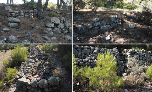 Figure 4. Historic agricultural terraces in the Urla-Çeşme survey area dating to the Middle Ages. a. Barbaros-Çiftlik; b. Granseki; c. Güvercinlik; d. Güvercinlik, showing stone-built stair between terraces. (Scale: 0.5 m. Photos: Elif Koparal, August 2013 (a, c, d); July 2018 (b))
