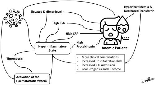 Figure 2. Mechanisms of COVID induced Anemia.