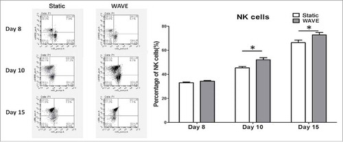 Figure 5. The quantification of NK cells. The phenotype of NK cells was detected by flow cytometry, in addition, the representative flow chart and the data were shown in this plot. (*,p < 0.05).