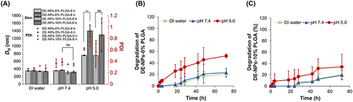Figure 6 pH-responsive size change of 100 μg/mL f-OVA-DE-NPs-0% PLGA and DE-NPs-10% PLGA in DI water, pH 7.4 (10 mM PB), and pH 5.0 (10 mM AB) for 6 h (A). Acid-responsive degradation of f-OVA-DE-NPs-0% PLGA (B) and DE-NPs-10% PLGA (C) in DI water, pH 7.4 (10 mM PB), and pH 5.0 (10 mM AB) for 48 h. The comparison of mean size changes in PNCs at 0 and 6 h under pH 7.4 and pH 5.0, respectively, was conducted using a T-test. P** ˂ 0.05 was considered significant, and pns > 0.05 were no statistical difference.