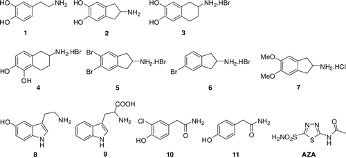 Scheme 1.  Dopaminergic compounds investigated in the present study.