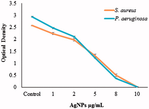 Figure 9. Biofilm inhibition activity of silver nanoparticles against Staphylococcus aureus [KCTC 3881] and Pseudomonas aeruginosa [KACC 14021].