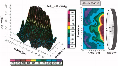 Figure 14. SAR distribution for cross-section 2.