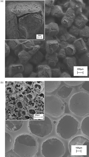 Figure 2. SEM micrographs of PLA scaffolds prepared by: (a) NaCl leaching technique, the inset reports a zoomed area of the scaffold; (b) paraffin leaching techniques, the inset reports the cross-sectional view.