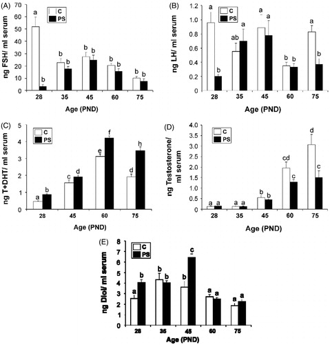 Figure 3. Effect of prenatal stress on serum concentrations of pituitary and testicular hormones. C, control; PS, prenatal stress; PND, postnatal day. Values represent the mean ± SEM serum concentrations of: (A) follicle stimulating hormone (FSH) (Kruskal–Wallis followed by Mann–Whitney U test: p < 0.01 for C versus PS rats at PND 28; p < 0.01 for differences among ages in C group; n = 5–9); (B) luteinizing hormone (LH) (two-way ANOVA followed by simple effects ANOVA analyses: p < 0.001 for C versus PS rats at PND 28; p < 0.01 for C versus PS rats at PND 75; p < 0.001 for age factor effect in PS group; n = 5–9); (C) testosterone + dihydrotestosterone (T + DHT) (two-way ANOVA followed by main effects analysis: p < 0.001 for prenatal treatment factor effects; p < 0.001 for age factor effects; n = 5); (D) specific testosterone (two-way ANOVA followed by simple effects ANOVA analyses: p < 0.001 for C versus PS rats at PND 75; p < 0.001 for age factor effects in C group; p, 0.001 for age factor effects in PS group; p = 5–7). (E) 5α-androstane-3α-17β diol (Diol) (two-way ANOVA followed by simple effects ANOVA analyses: p < 0.001 for C versus PS rats at PND 28; p < 0.001 for C versus PS rats at PND 45; p < 0.001 for age factor effects in C group; p < 0.001 for age factor effects in PS group; n = 5–9). In all cases, the significant differences between groups are indicated with different letters.