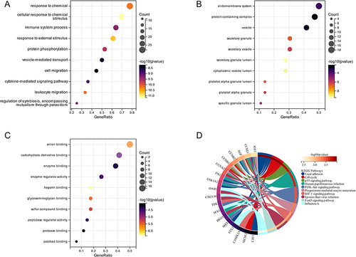 Figure 2 GO and KEGG pathway enrichment analyses of 36 common genes between COVID-19 and PE. (A) Biological process of GO. (B) Molecular function of GO. (C) Cellular component of GO. (D) KEGG pathway.