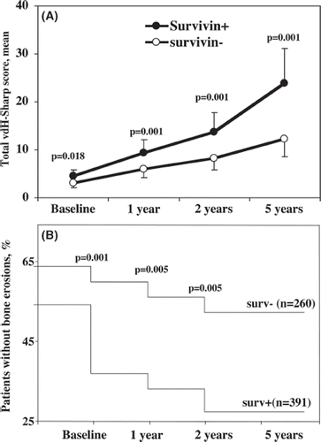 Figure 1. Progression of radiological changes over time in survivin positive and survivin negative patients with early rheumatoid arthritis. (A) The total vdH-Sharp score was significantly higher in survivin posive as compared to survivin negative patients. This difference showed a gradual increase at each time point of follow-up. (B) Development of bone erosions occurred significantly faster in survivin positive patients. Thus, the proportion of patients without erosions was lower among survivin positive patients.