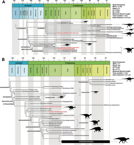 Figure 19. Time-scaled strict consensus trees depicting the phylogenetic relationships of the Recôncavo Basin ornithischians. A, all taxa included in an updated version of the neornithischian phylogenetic matrix of Rozadilla et al. (Citation2019), with Tietasaura derbyiana Gen. et sp. nov. found as an elasmarian, while the material of the Marfim and Salvador formations were recuperated as basal styracosternans. B, phylogenetic affinities of the Marfim and Salvador formations specimens in the phylogenetic matrix of Verdú et al. (Citation2015), which is focused on internal relationships of Iguanodontia. Bremer supports of both analyses are summarised in the supplementary data. Silhouettes from several sources.
