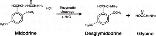Figure 1. Conversion of midodrine (pro-drug) to its active metabolite desglymidodrine via enzymatic hydrolysis.